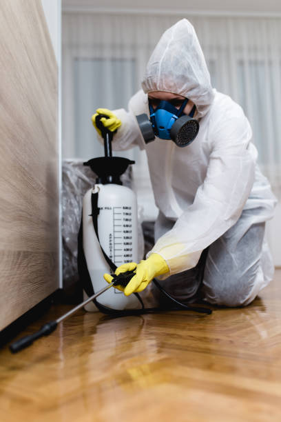 Best Pest Control for Hotels  in Tool, TX